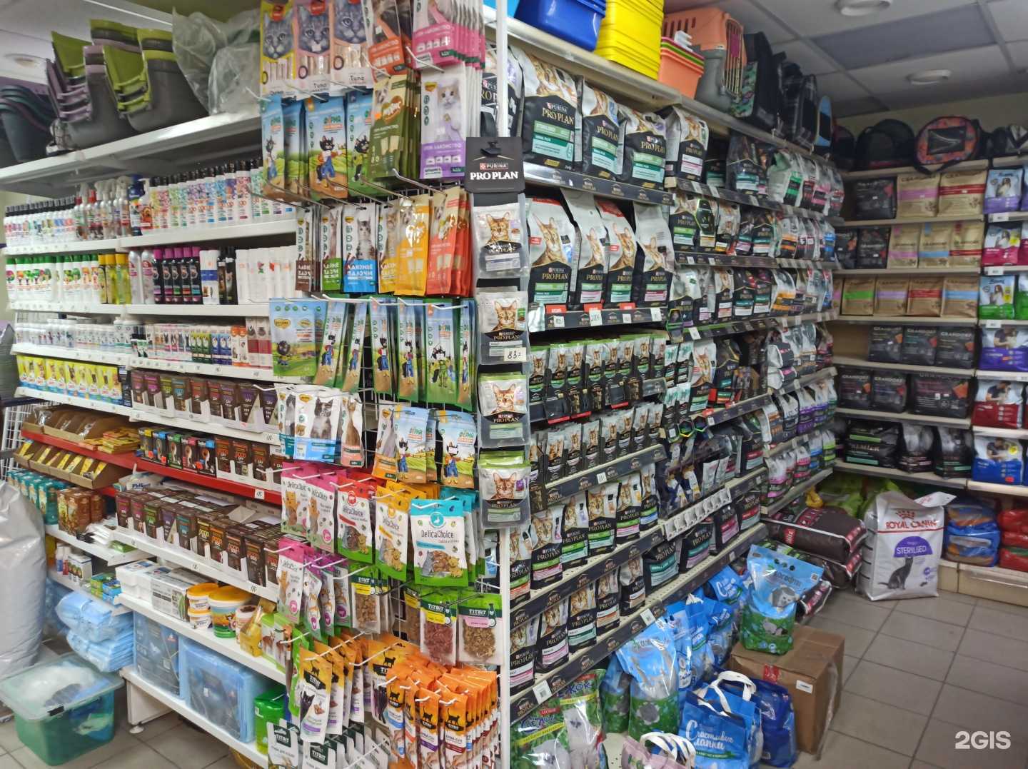 Отзывы на компанию Дискус в Мурманске c фото