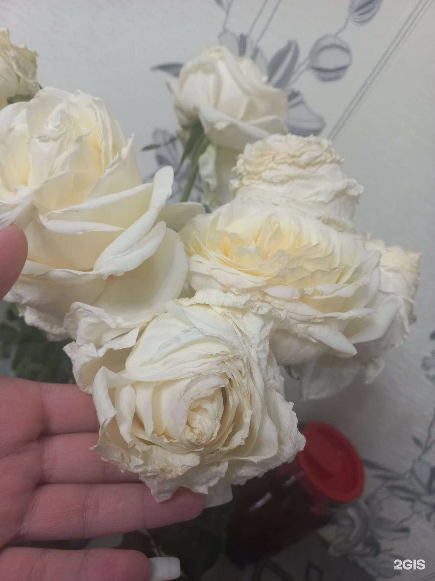 Отзывы на компанию Бамбук в Ангарске c фото