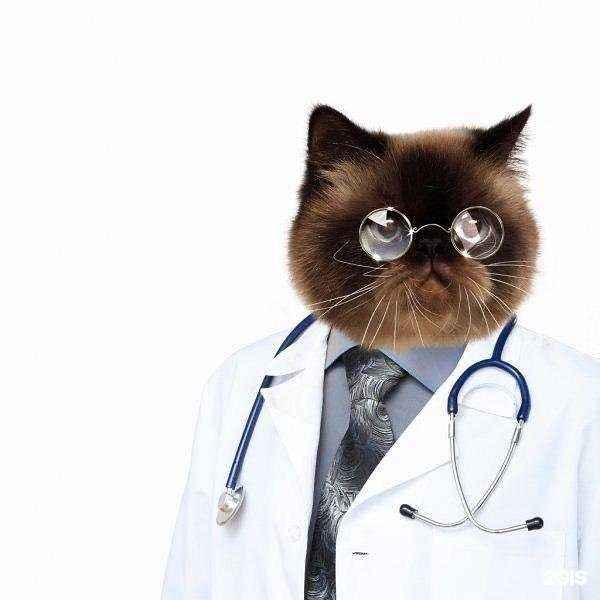 Отзывы на компанию Рекс в Кемерове c фото