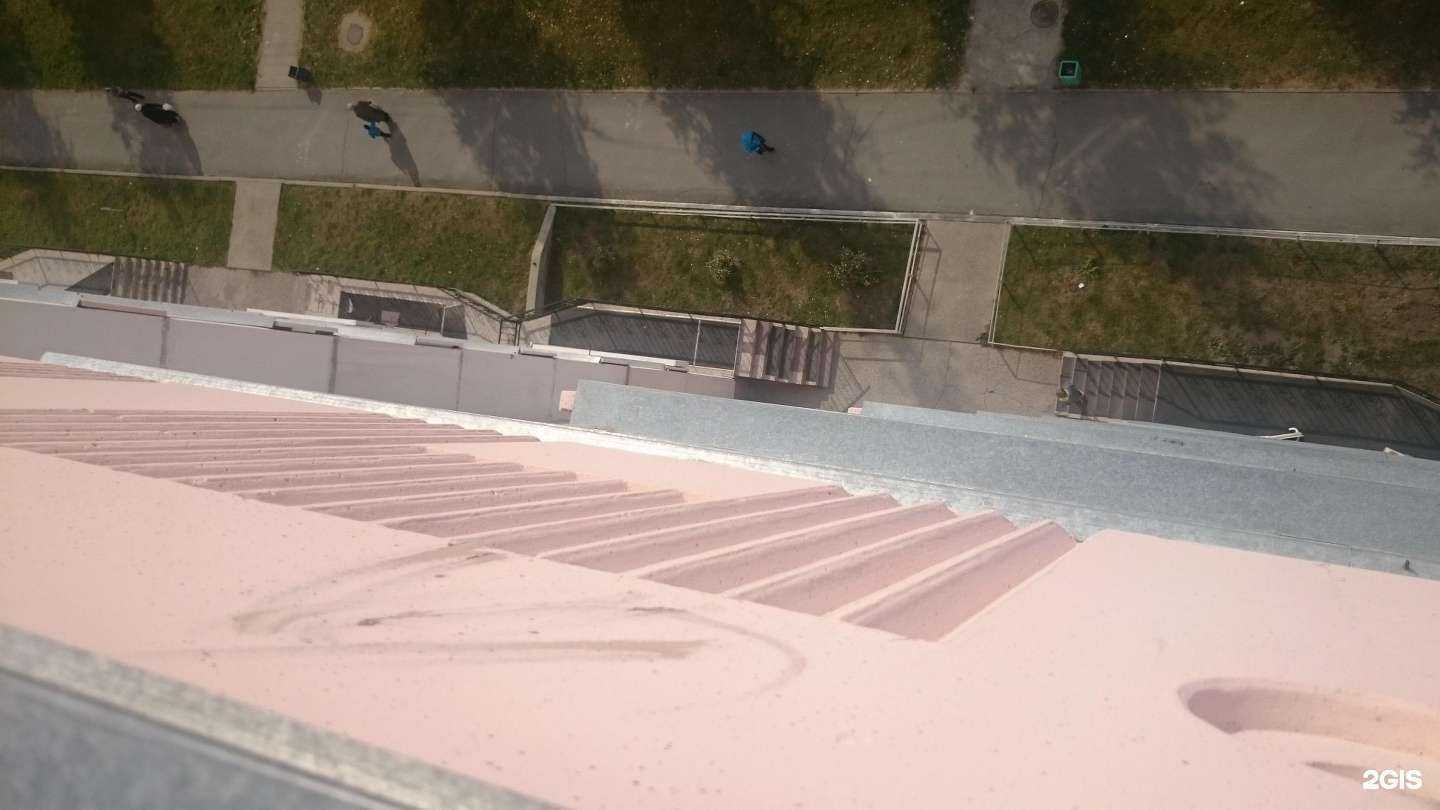 Отзывы на компанию Радогост в Новосибирске c фото - фотография 2 из 2