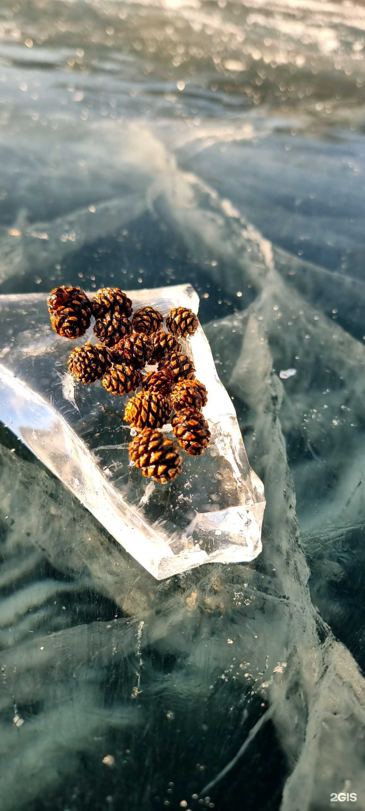 Отзывы на компанию Кладовые Байкала в г. Иркутск c фото