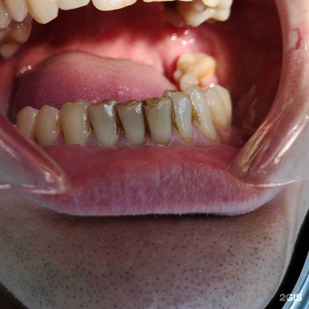 Отзывы на компанию Доктор в Петропавловске-Камчатском c фото