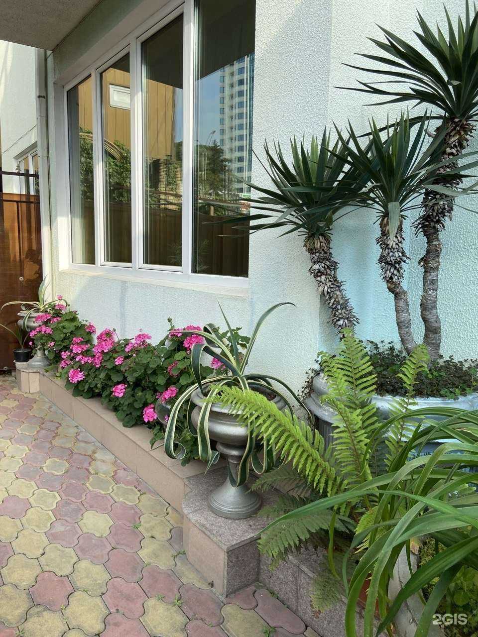 Отзывы на компанию Центр сувениров в Сочи c фото - фотография 2 из 2