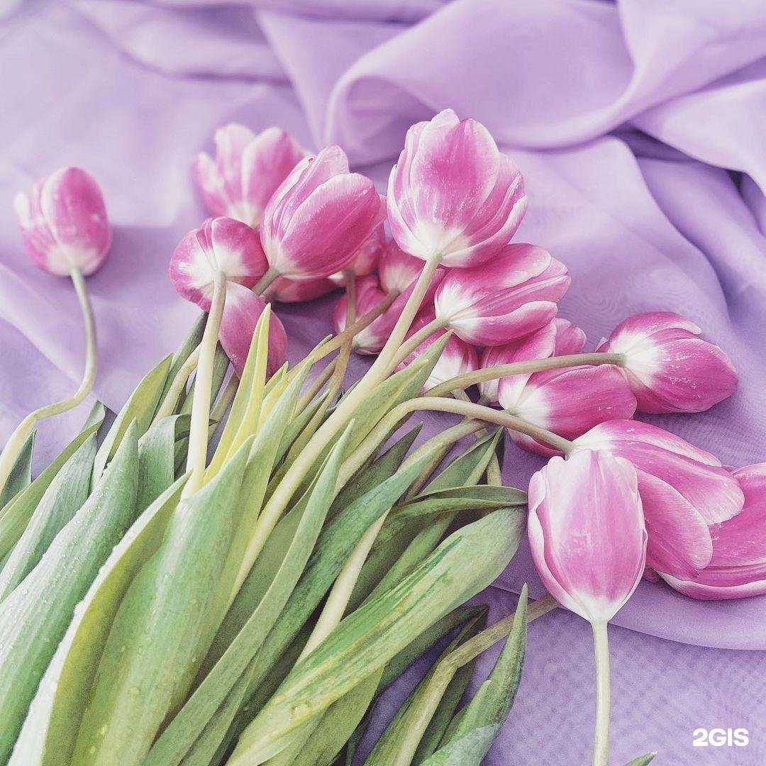 Отзывы на компанию Fashion Line в Владивостоке c фото