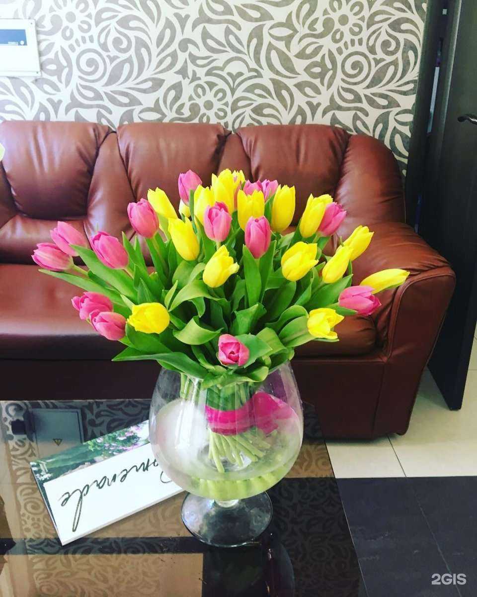 Отзывы на компанию Шаганэ в Саратове c фото