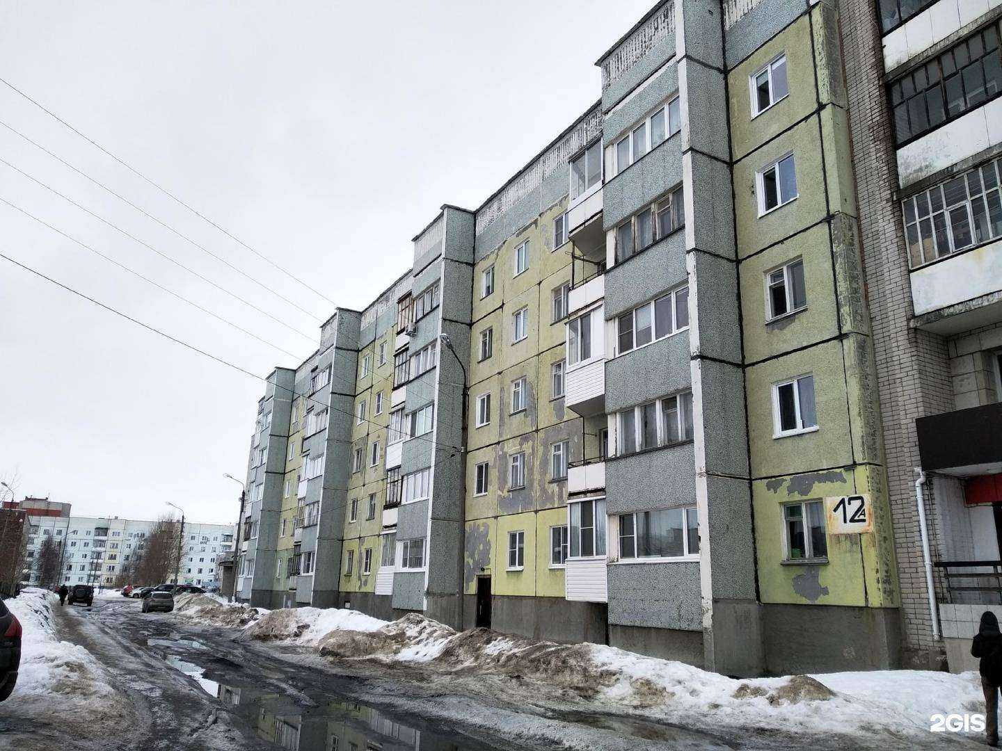 Отзывы на компанию Добровет в Северодвинске c фото - фотография 2 из 2