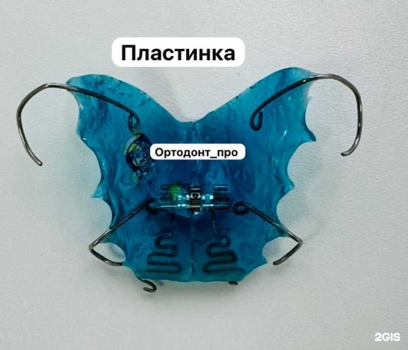 Отзывы на компанию Ортодонт Про в г. Ставрополь c фото