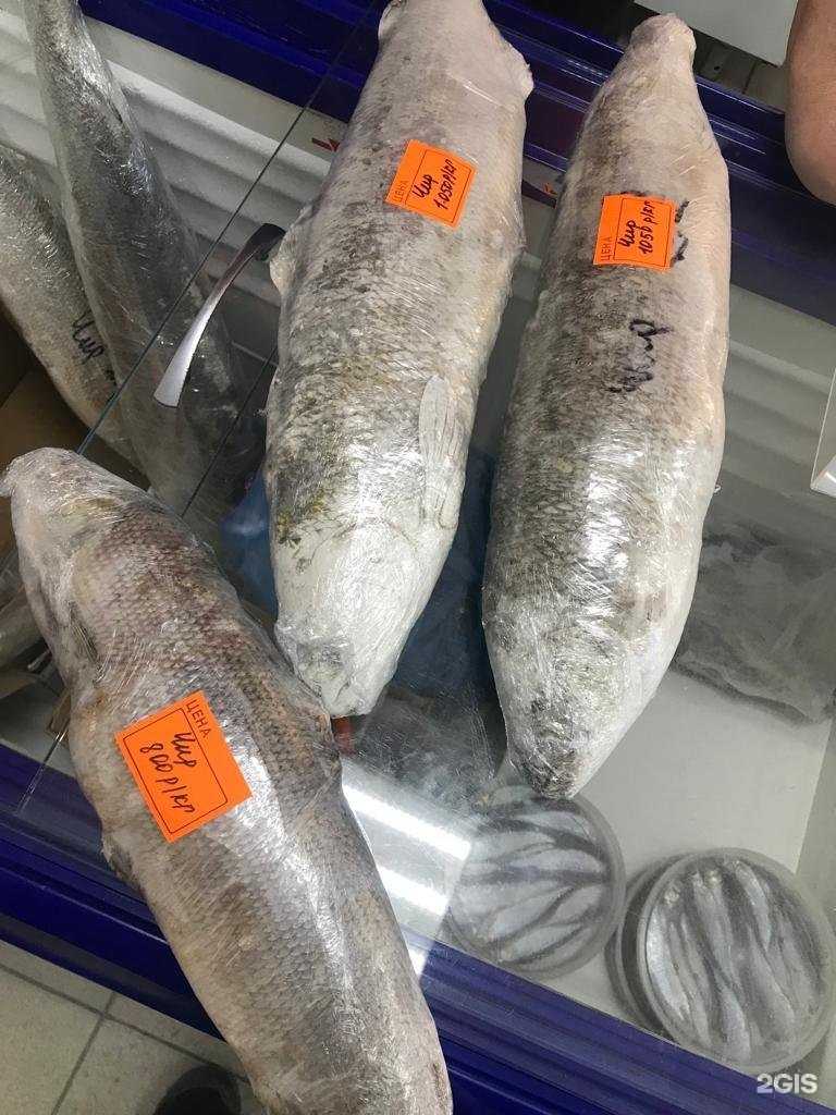 Отзывы на компанию Северная рыба в Новосибирске c фото