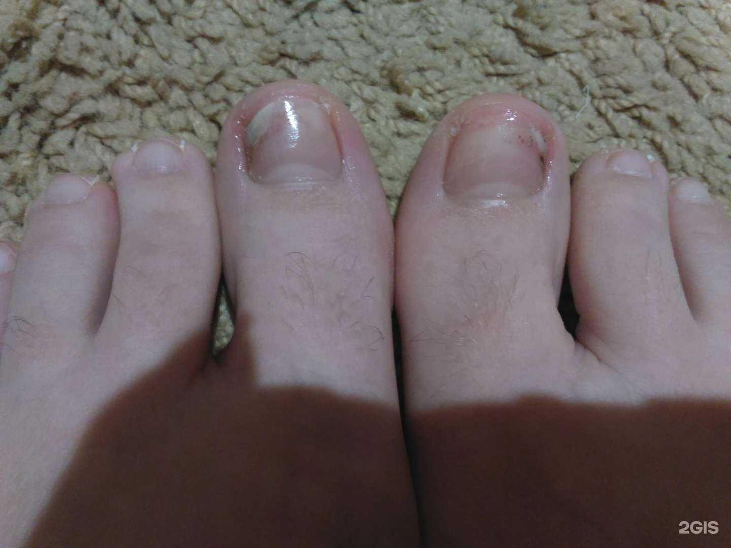 Отзывы на компанию Розовый Фламинго в Железногорске c фото