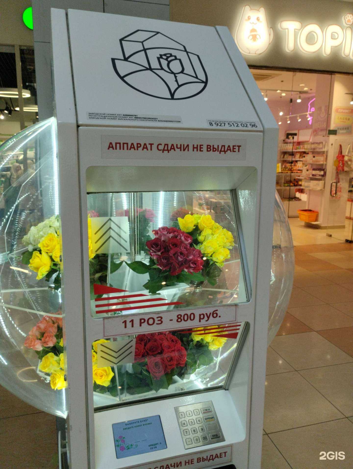 Отзывы на компанию Своя роза в Волгограде c фото