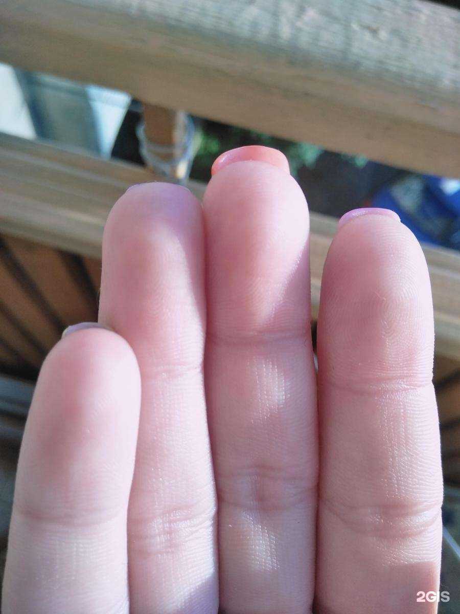 Отзывы на компанию За стеклом в г. Кисловодск c фото