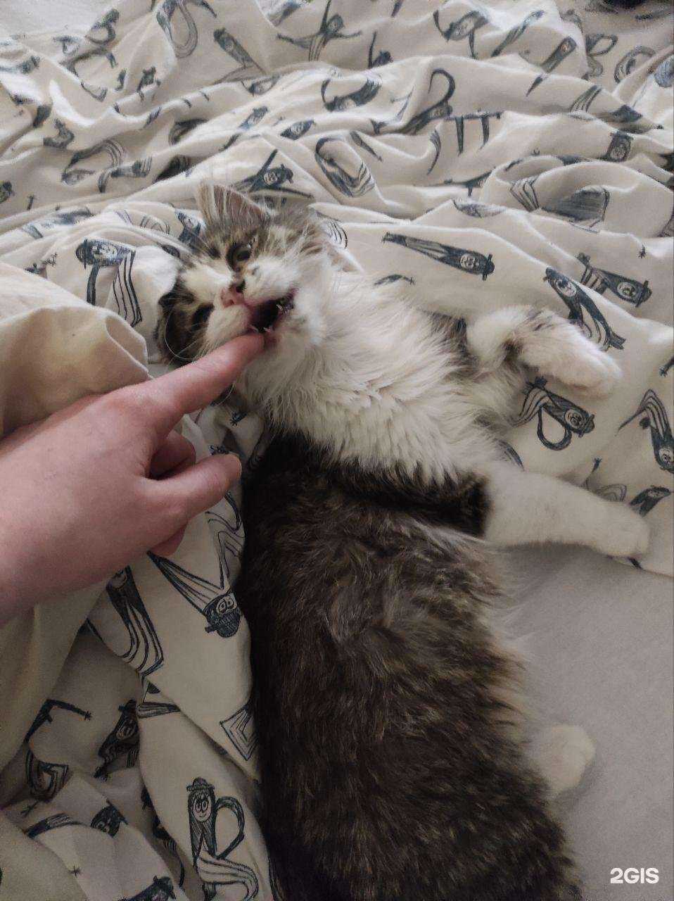 Отзывы на компанию Умка в г. Краснодар c фото