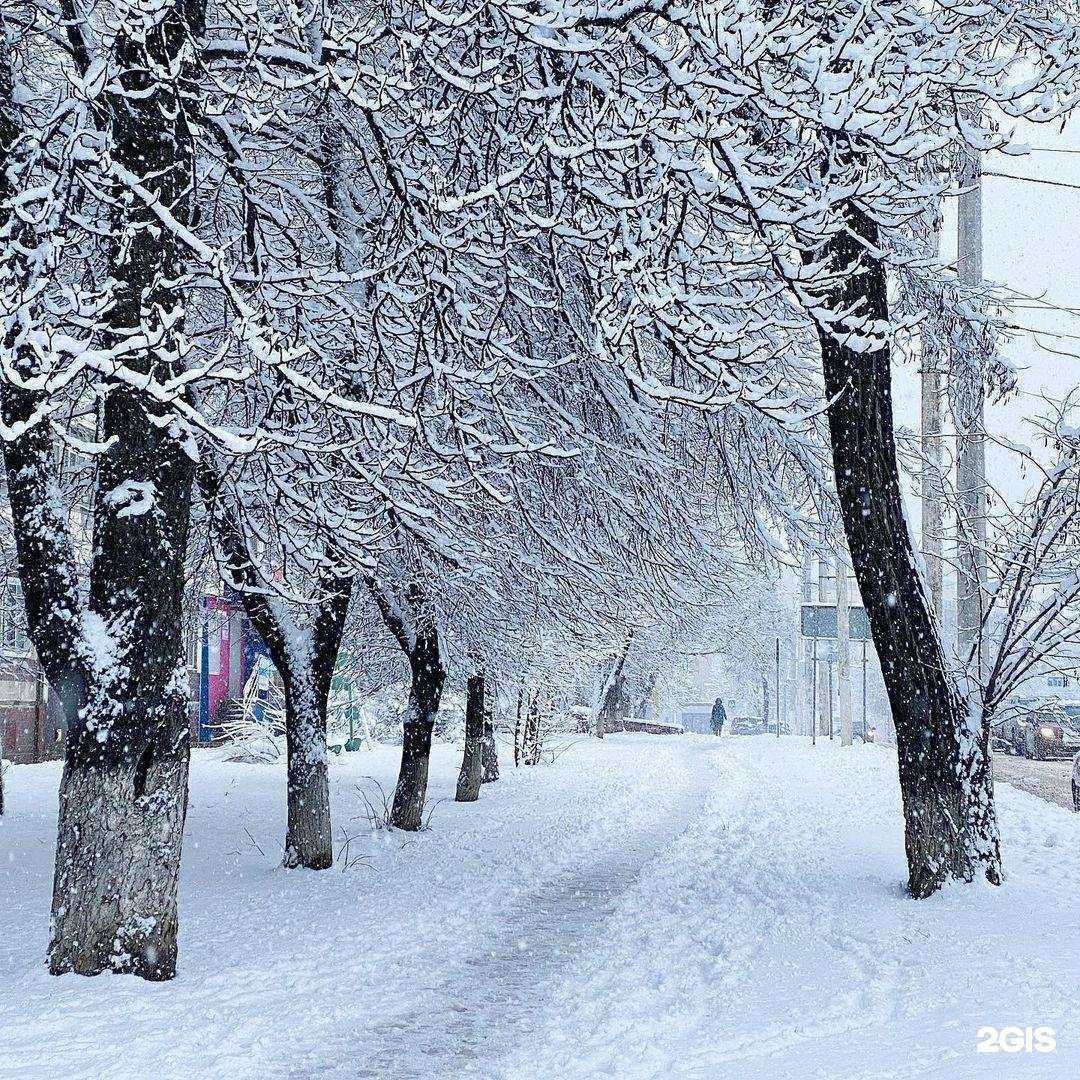 Отзывы на компанию The iStore в г. Саратов c фото