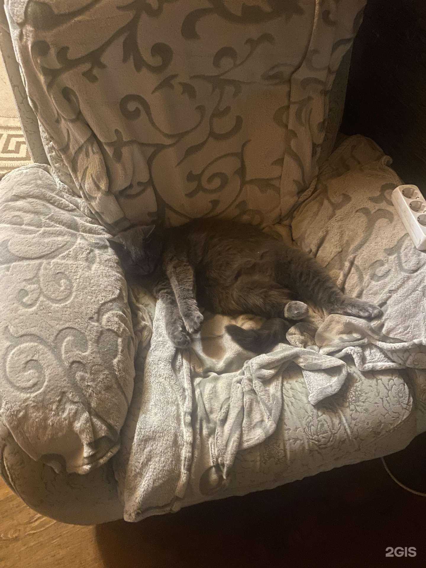 Отзывы на компанию Докторvet в г. Подольск c фото