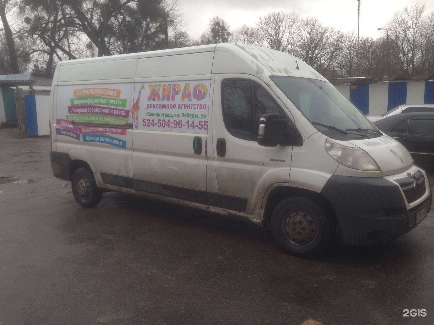 Отзывы на компанию Жираф в г. Калининград c фото