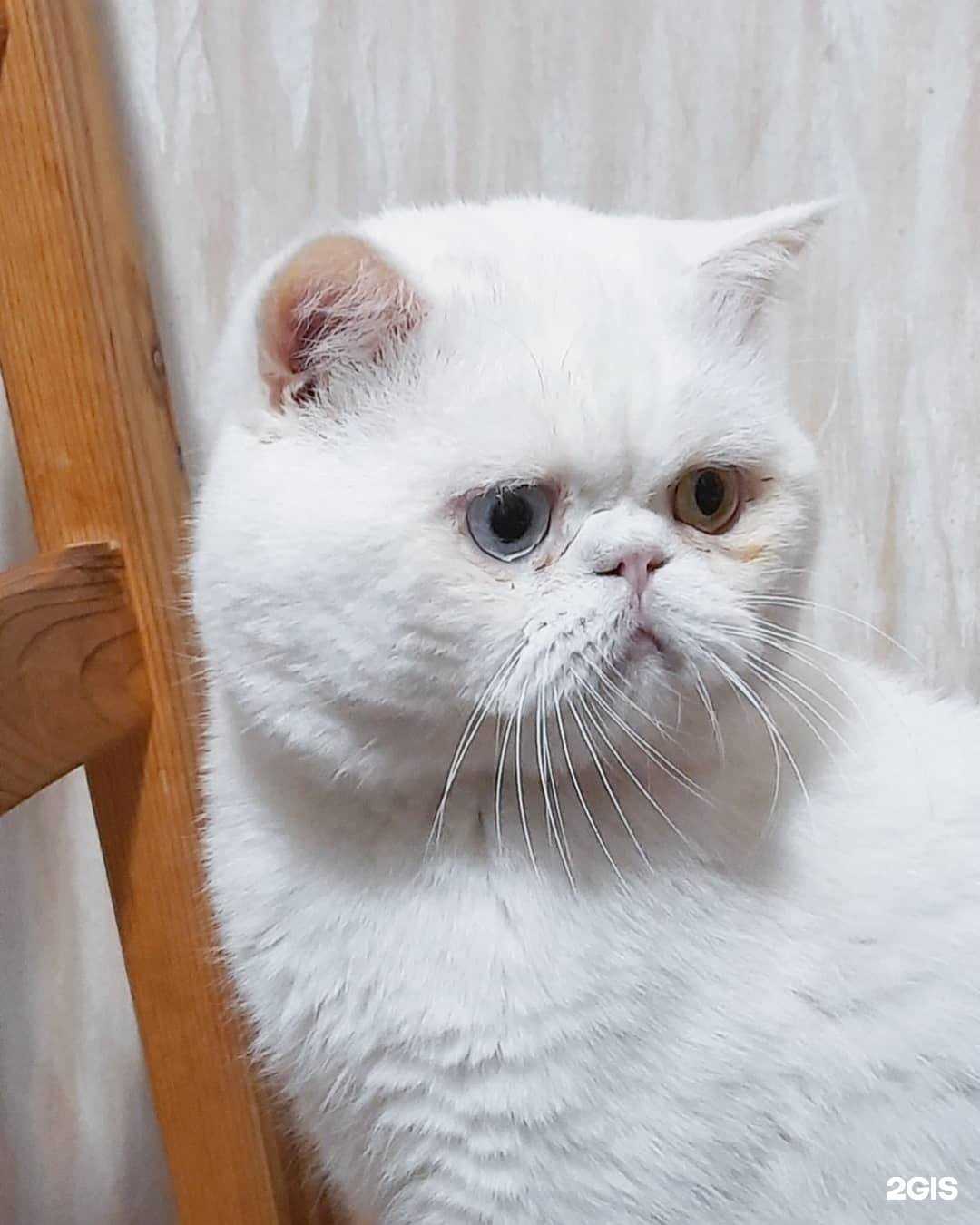 Отзывы на компанию Коала в Уфе c фото