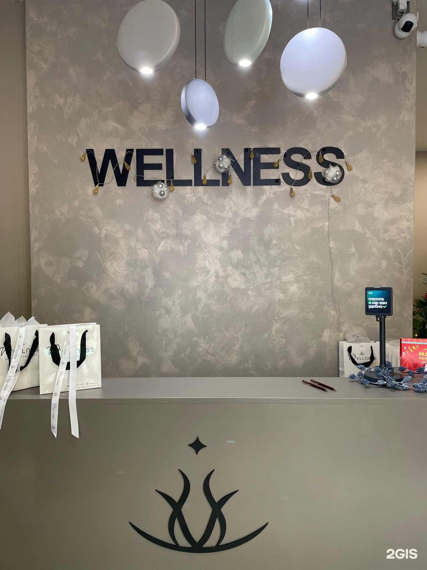 Отзывы на компанию Wellness в Артёме c фото