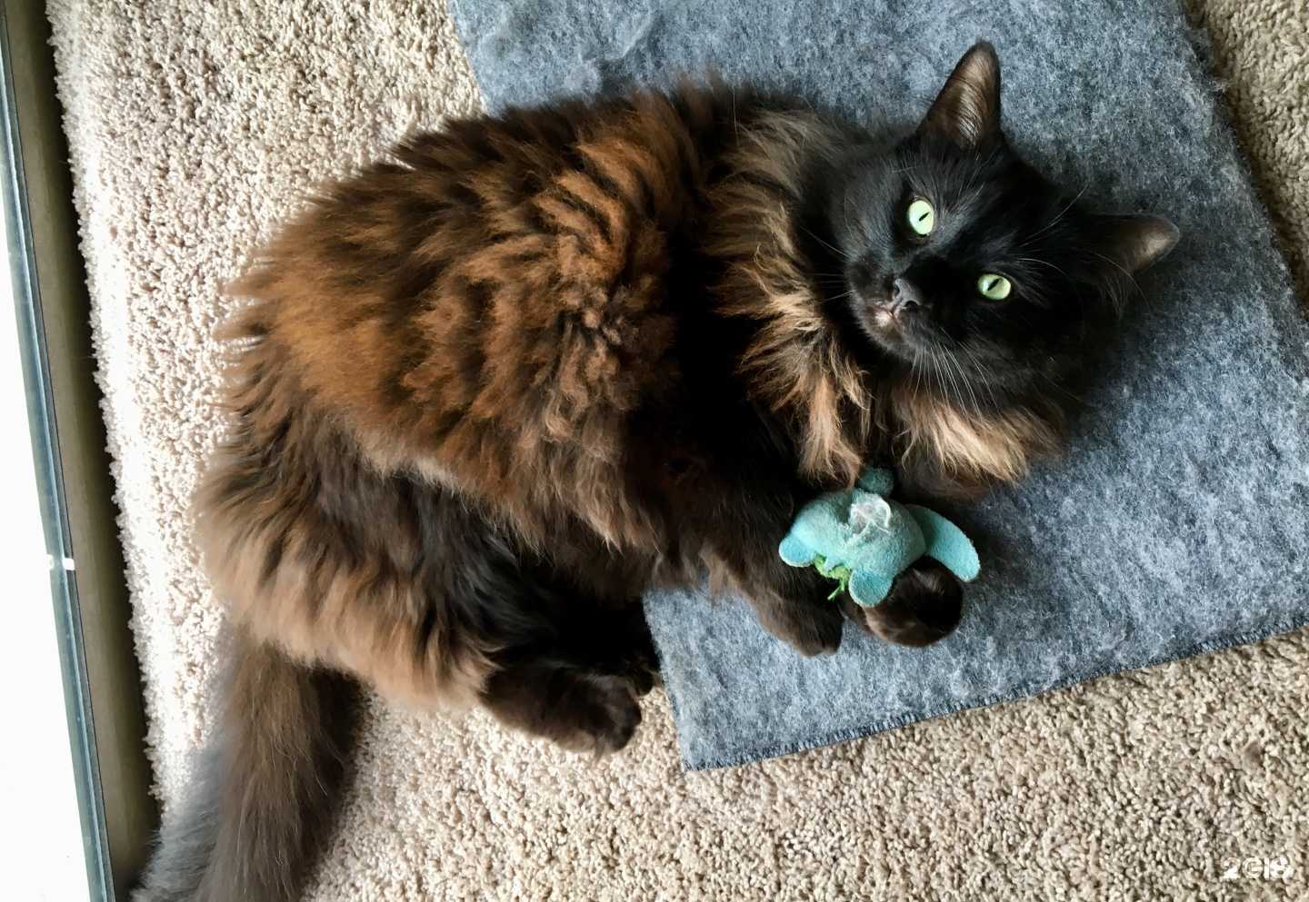 Отзывы на компанию Феникс в Дмитрове c фото