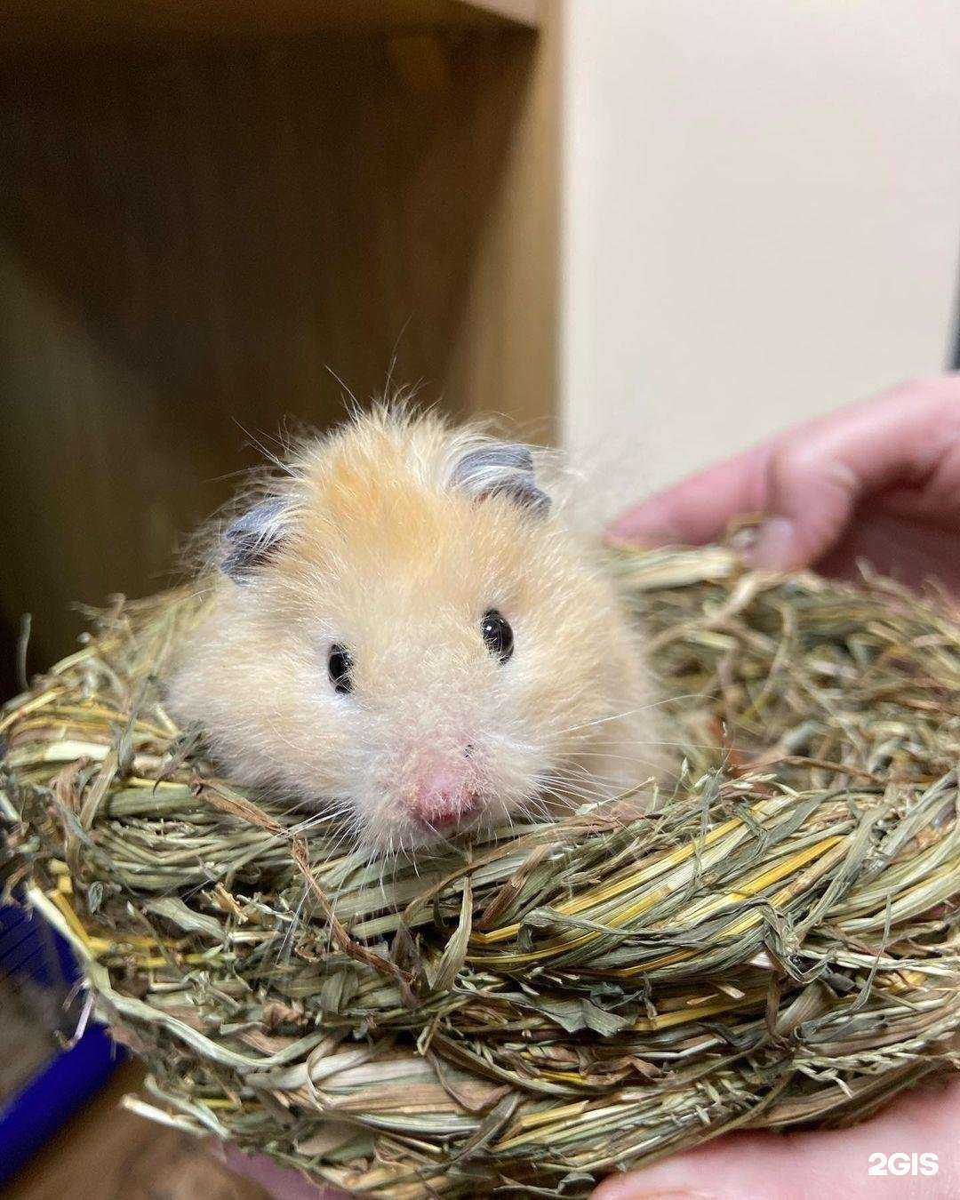 Отзывы на компанию Эдем в Прокопьевске c фото