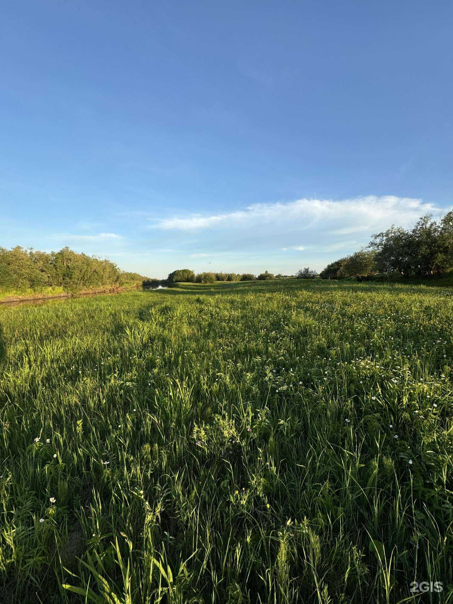 Отзывы на компанию Земельный юрист  в Якутске c фото