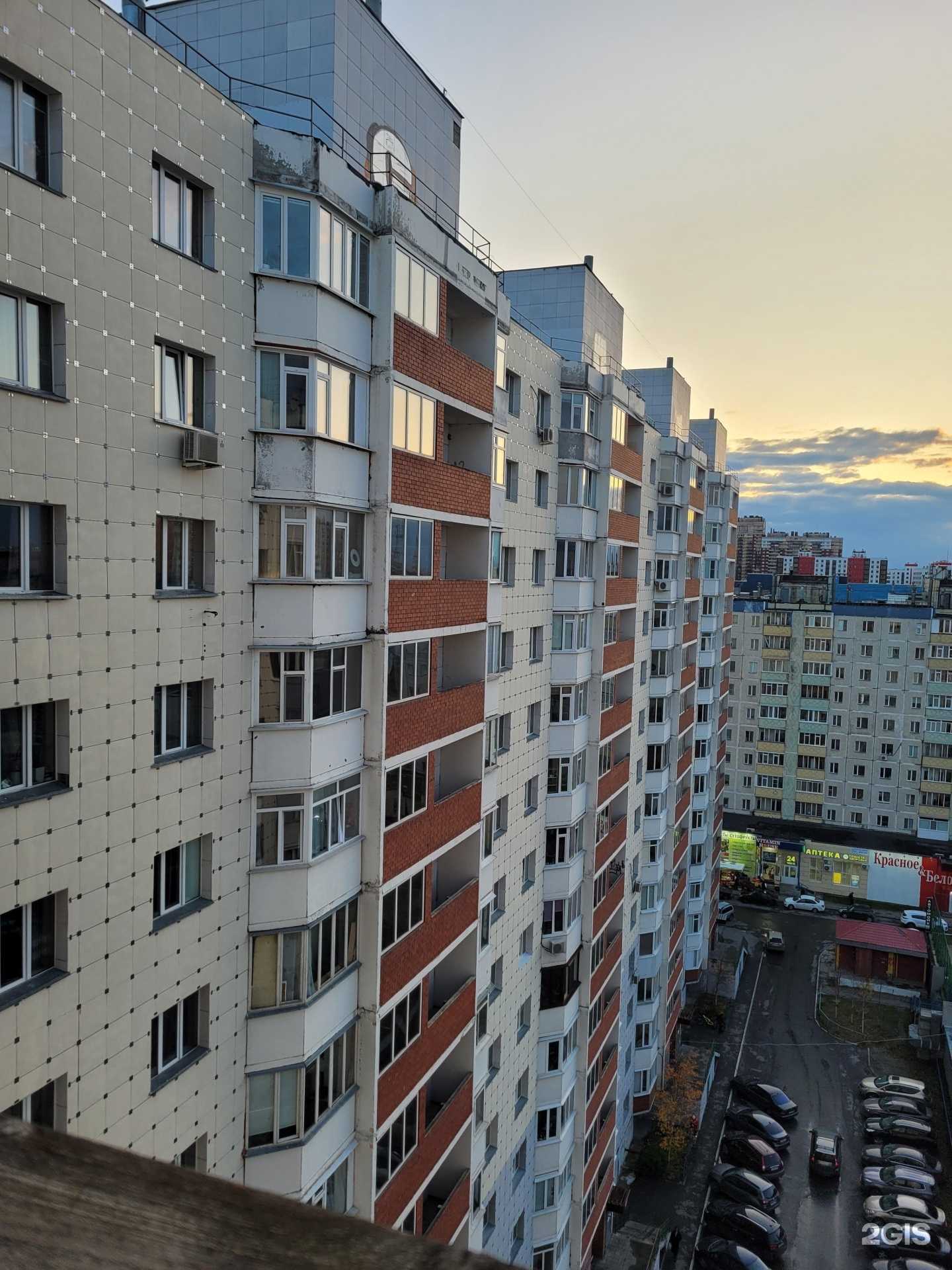 Отзывы на компанию Beauty Brows&Lashes в Сургуте c фото - фотография 2 из 2