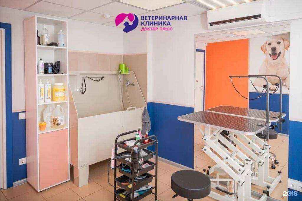 Отзывы на компанию Доктор Плюс в Ижевске c фото