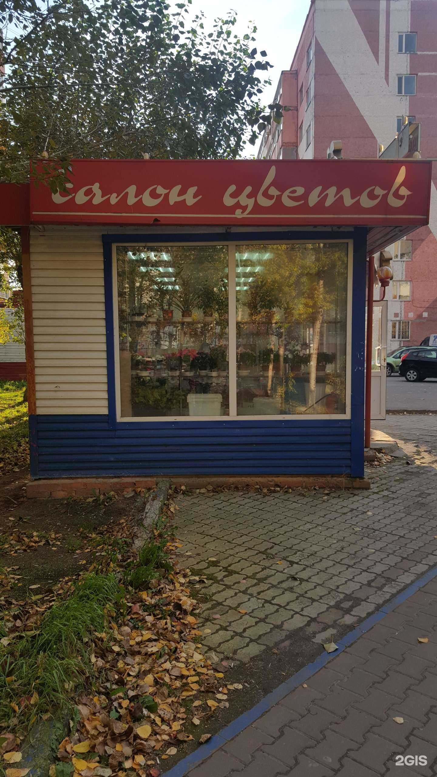 Отзывы на компанию 101 роза в г. Сургут c фото