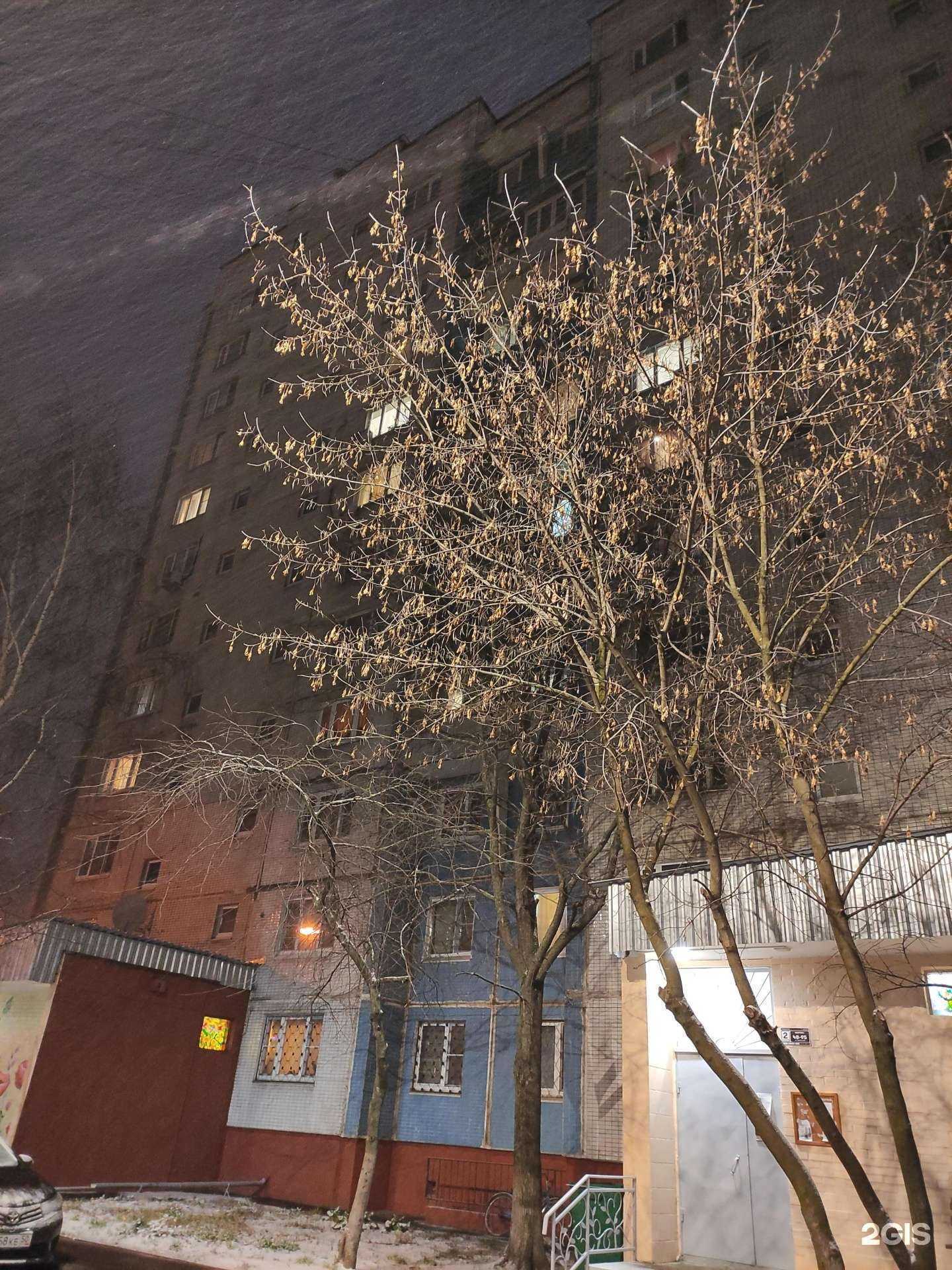 Отзывы на компанию Право-инвест в Балашихе c фото - фотография 2 из 2