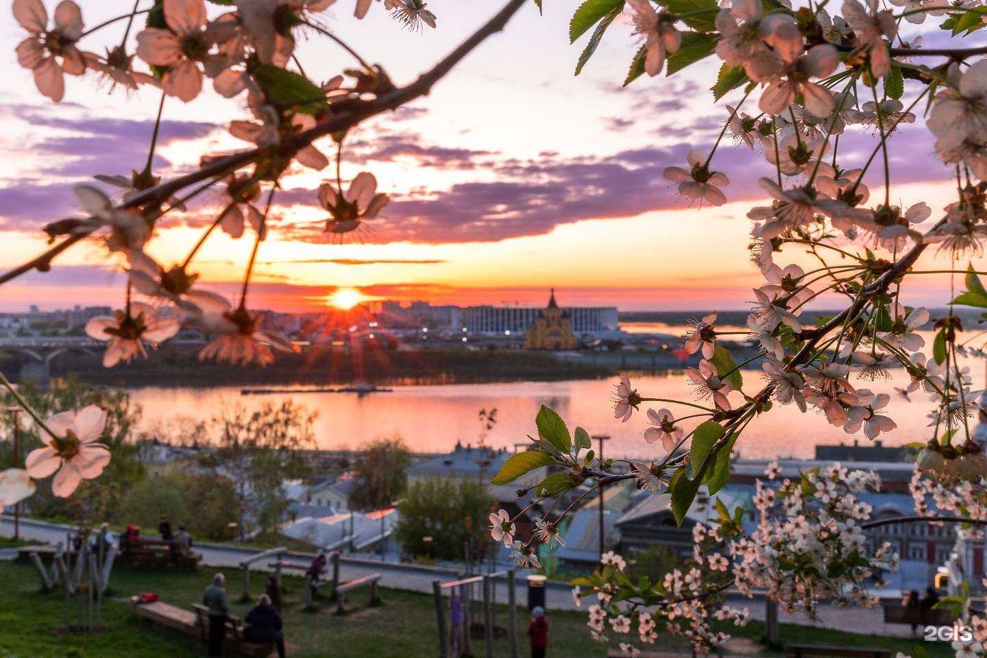 Отзывы на компанию Нескучный Нижний в г. Нижний Новгород c фото