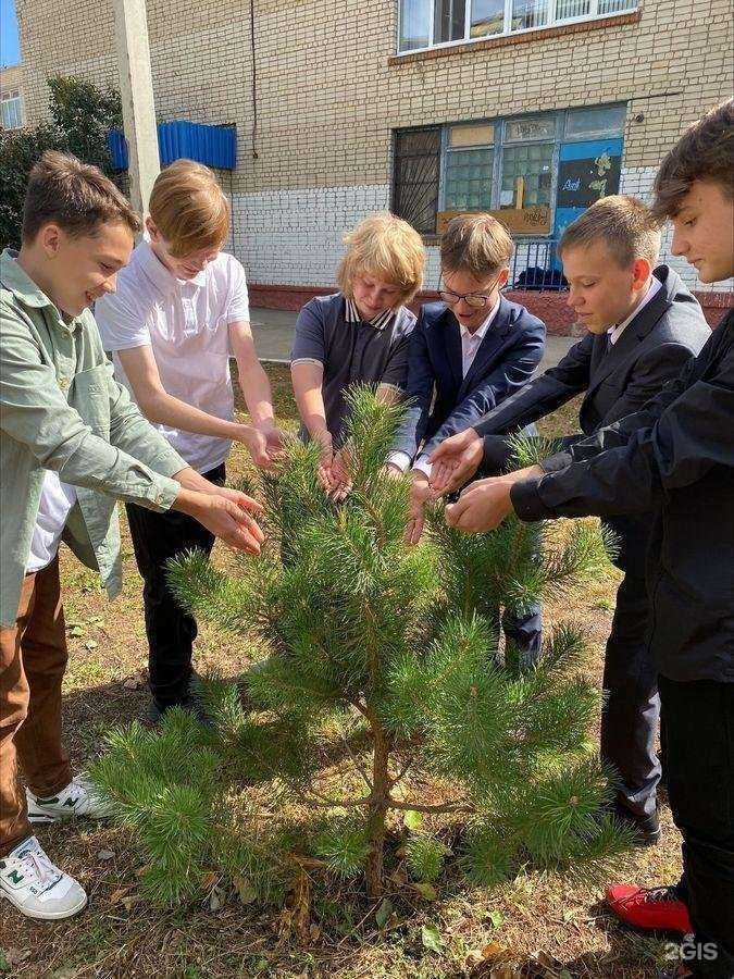 Отзывы на компанию Гимназия №1 в г. Балаково c фото