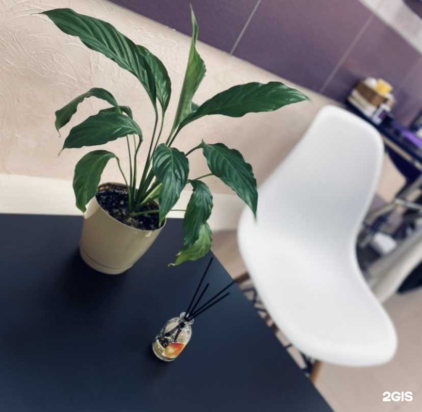 Отзывы на компанию Lashspace Le в Перми c фото