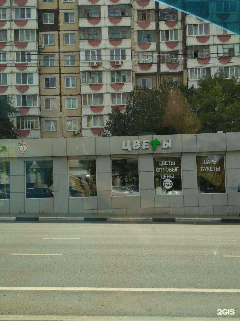 Отзывы на компанию Пальма в Белгороде c фото - фотография 2 из 2