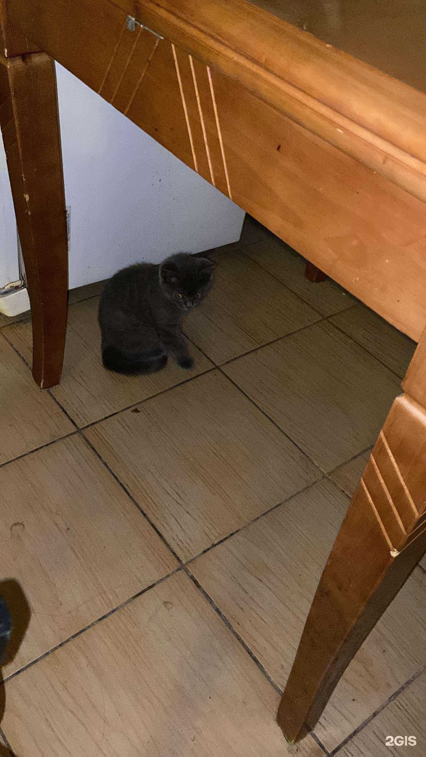 Отзывы на компанию Дети-наше будущее в Улан-Удэ c фото - фотография 2 из 2