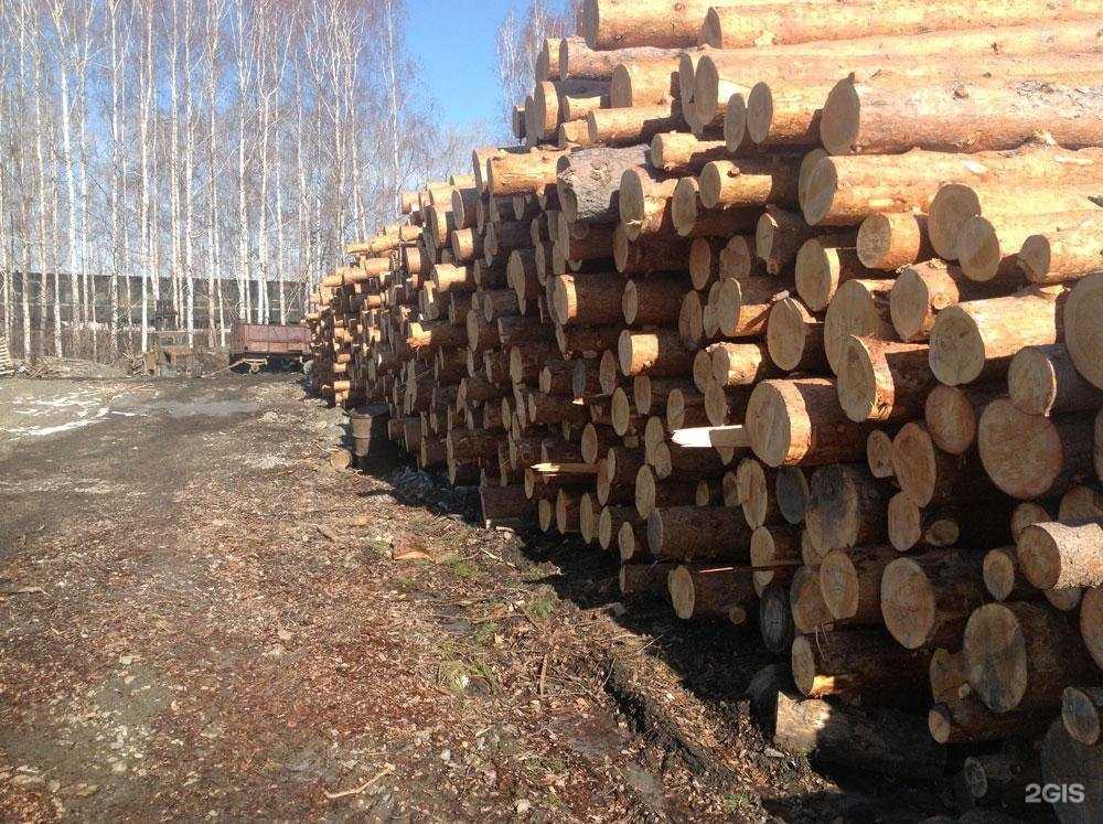 Отзывы на компанию ПромЛес в Екатеринбурге c фото