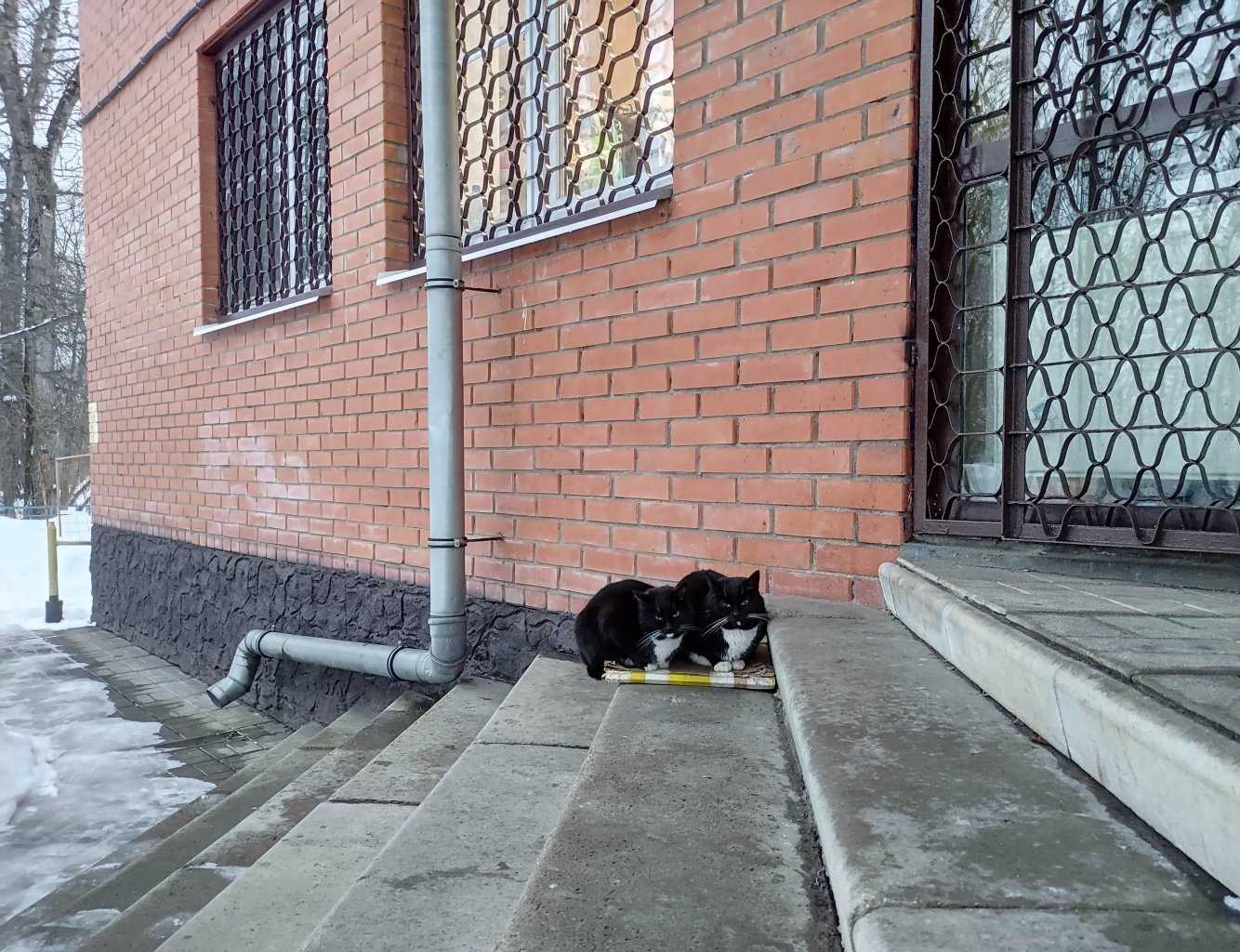 Отзывы на компанию Фотостудия в Королёве c фото - фотография 2 из 2