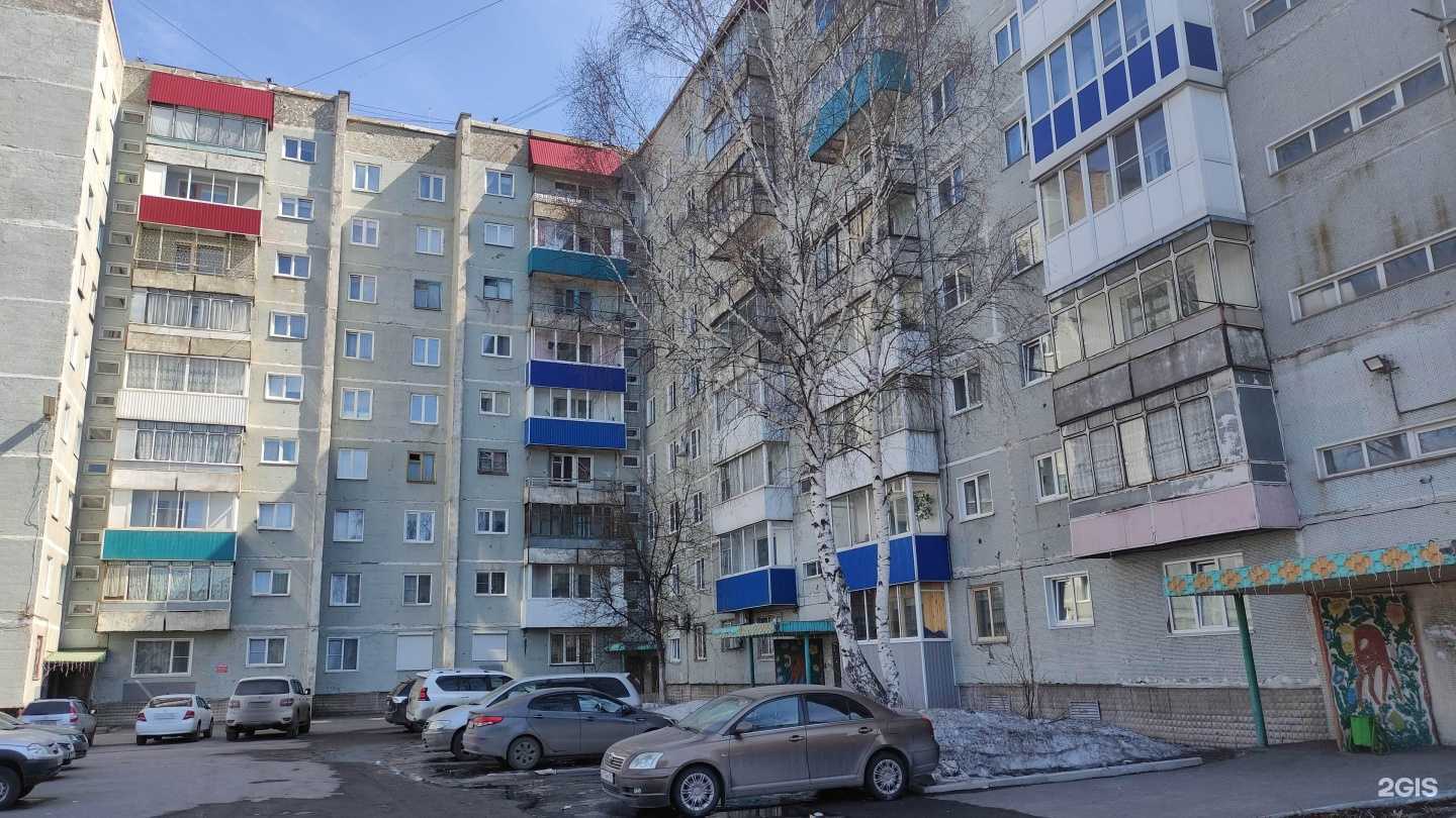 Отзывы на компанию Ботаника в Прокопьевске c фото - фотография 2 из 2