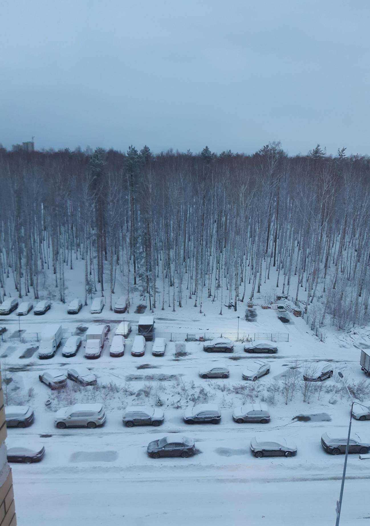 Отзывы на компанию Life wellness в Екатеринбурге c фото - фотография 2 из 2