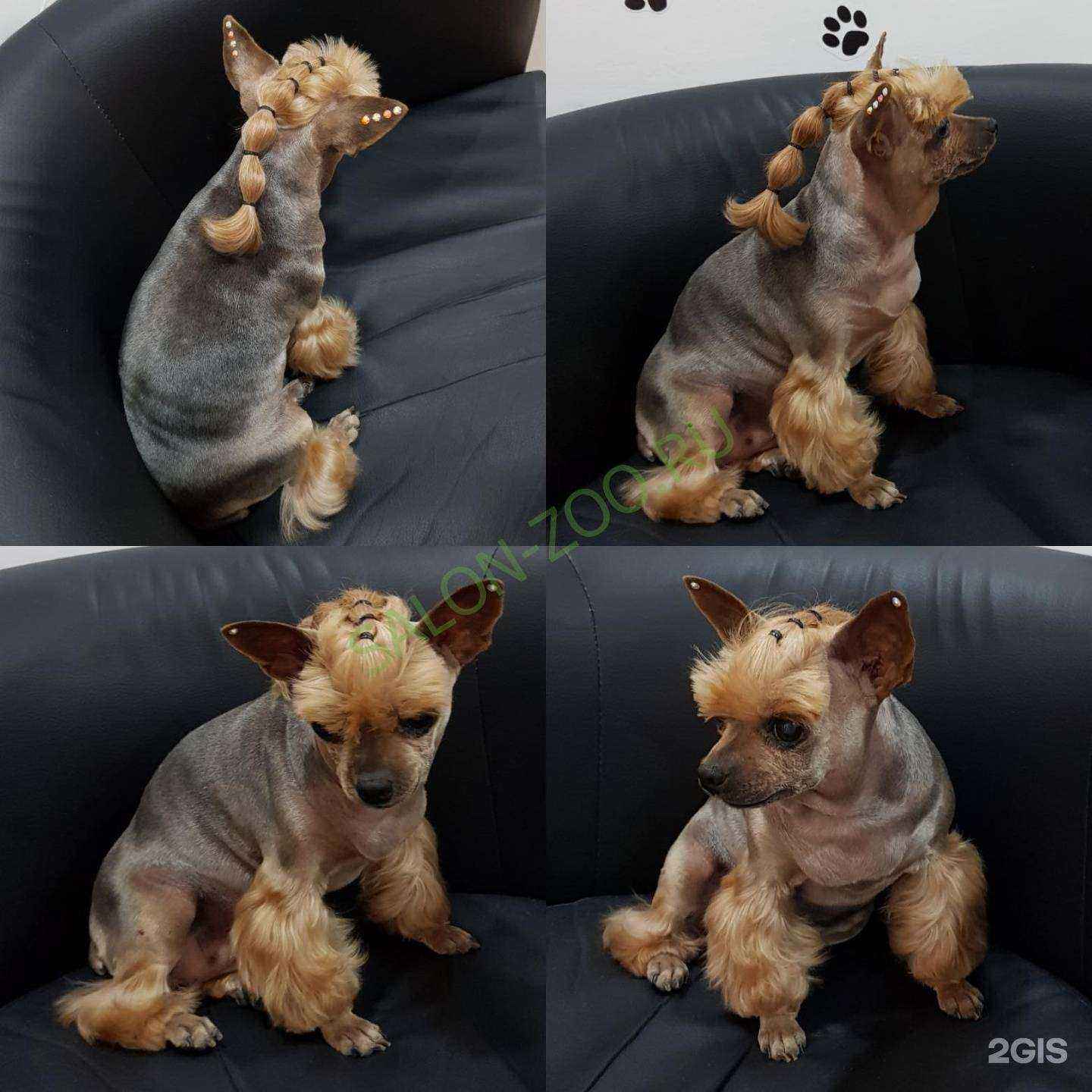 Отзывы на компанию Ну, погоди в г. Реутов c фото