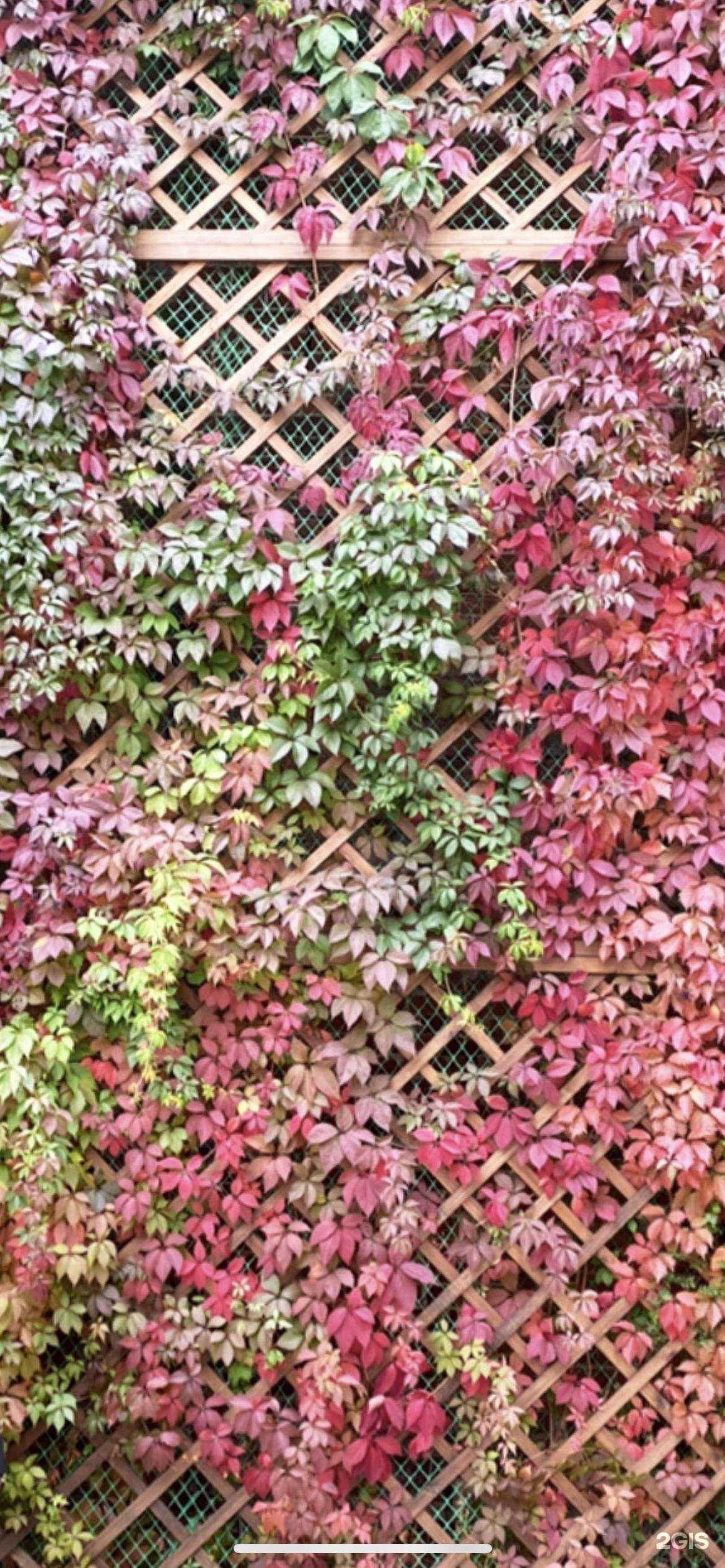 Отзывы на компанию Юридическая клиника в Казани c фото - фотография 2 из 2