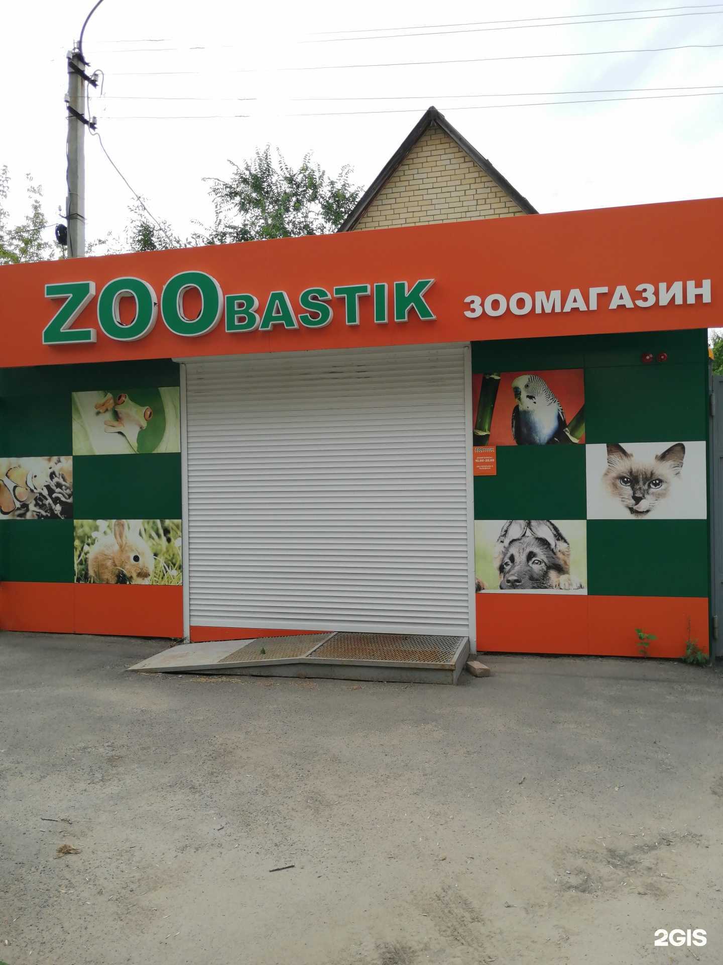 Отзывы на компанию Zoobastik в Энгельсе c фото