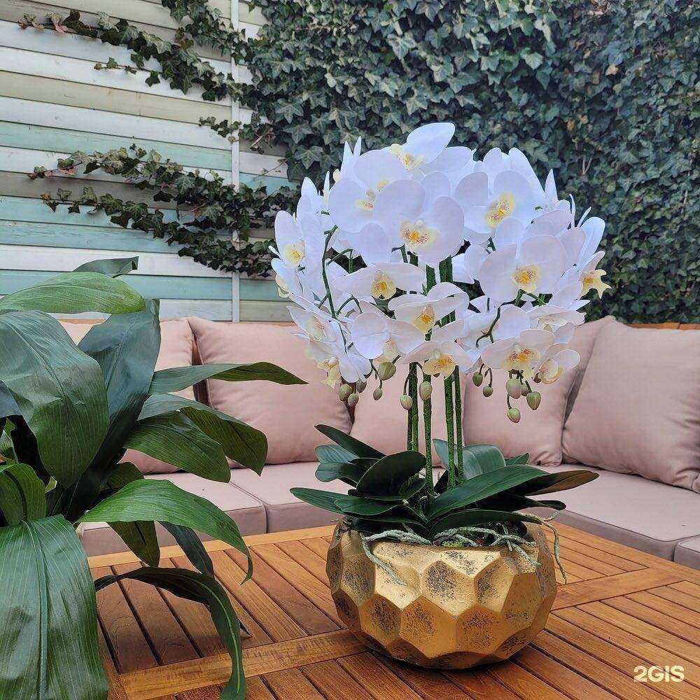 Отзывы на компанию Зелёный дворик в г. Краснодар c фото