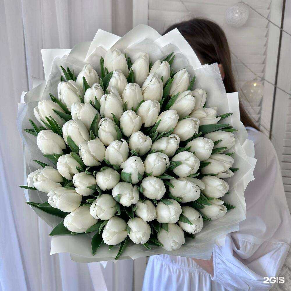 Отзывы на компанию Vesna в г. Краснодар c фото