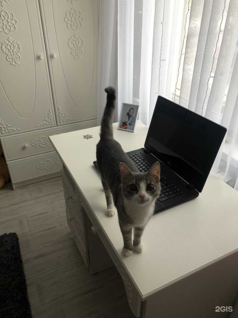 Отзывы на компанию Мебель Урала в Челябинске c фото