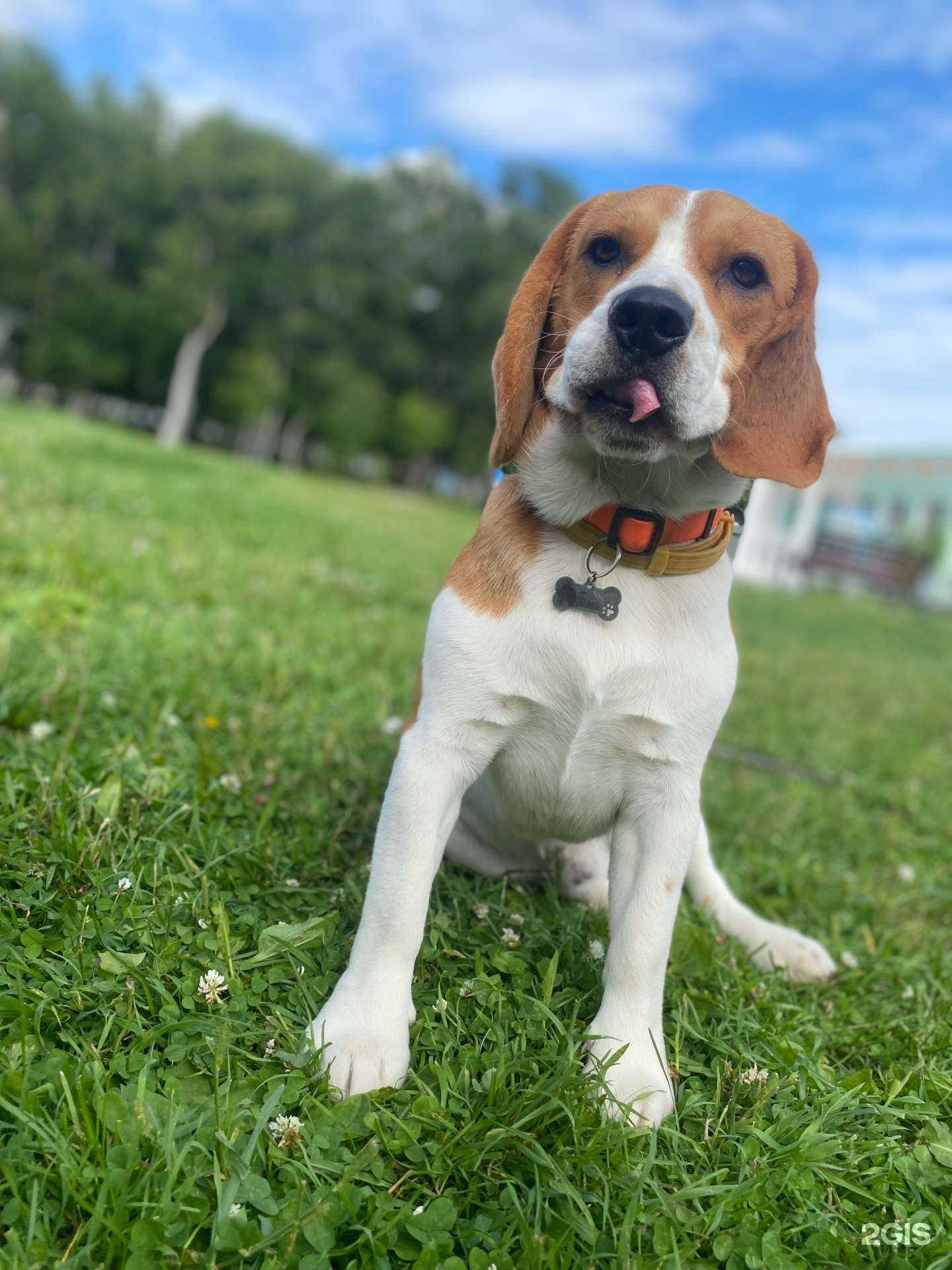 Отзывы на компанию Хелфик в Южно-Сахалинске c фото