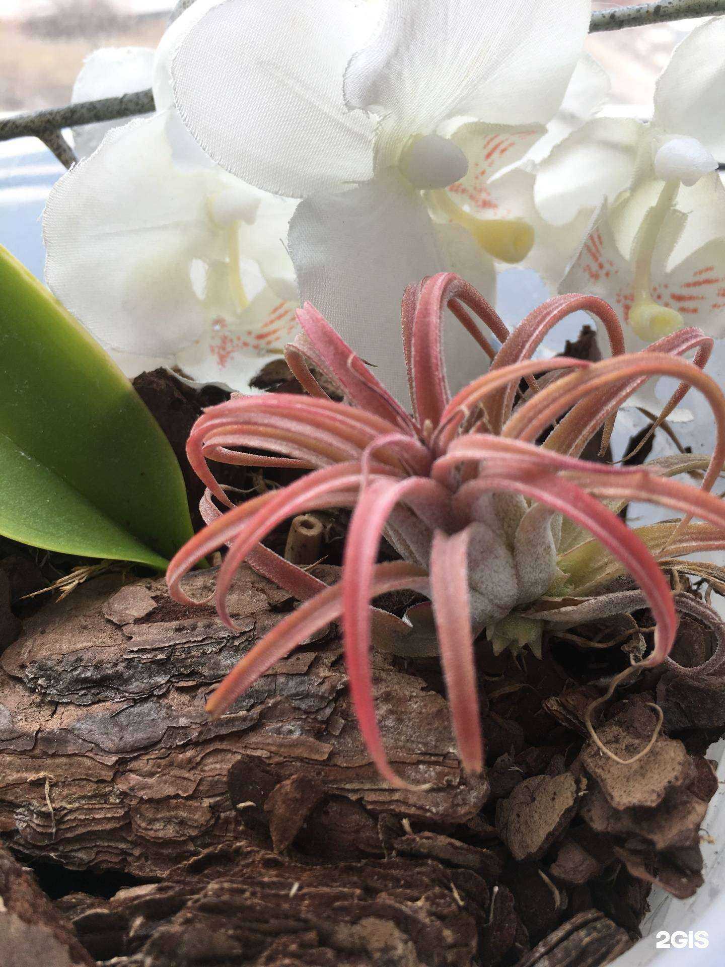 Отзывы на компанию Грин парк в Перми c фото