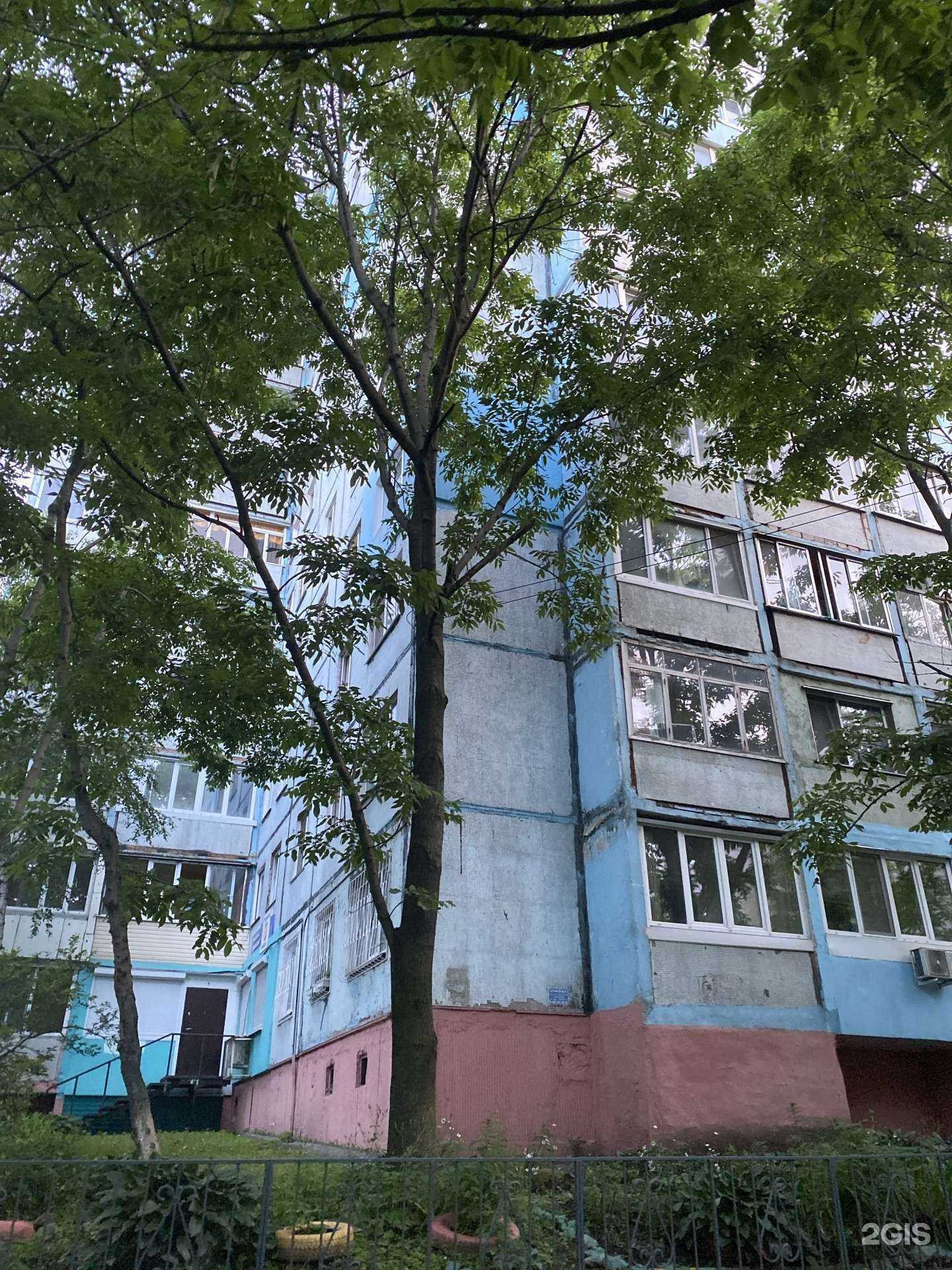 Отзывы на компанию Техника права в Владивостоке c фото - фотография 2 из 2