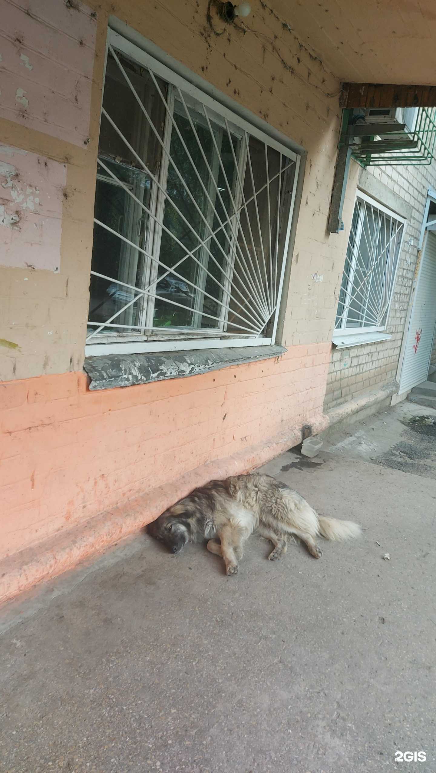 Отзывы на компанию Бриз в Волгограде c фото - фотография 2 из 2