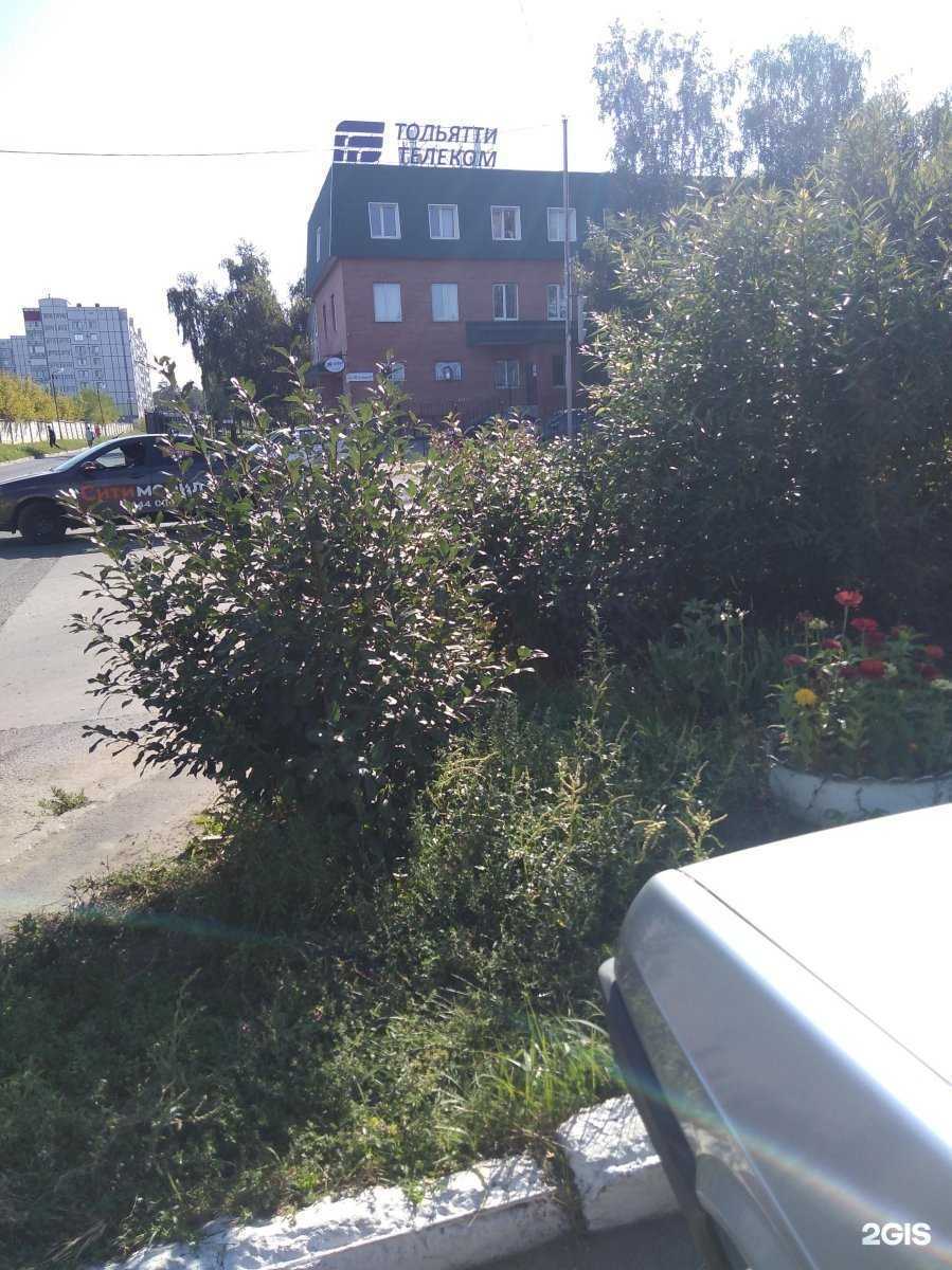 Отзывы на компанию CosySoft в Тольятти c фото - фотография 2 из 2