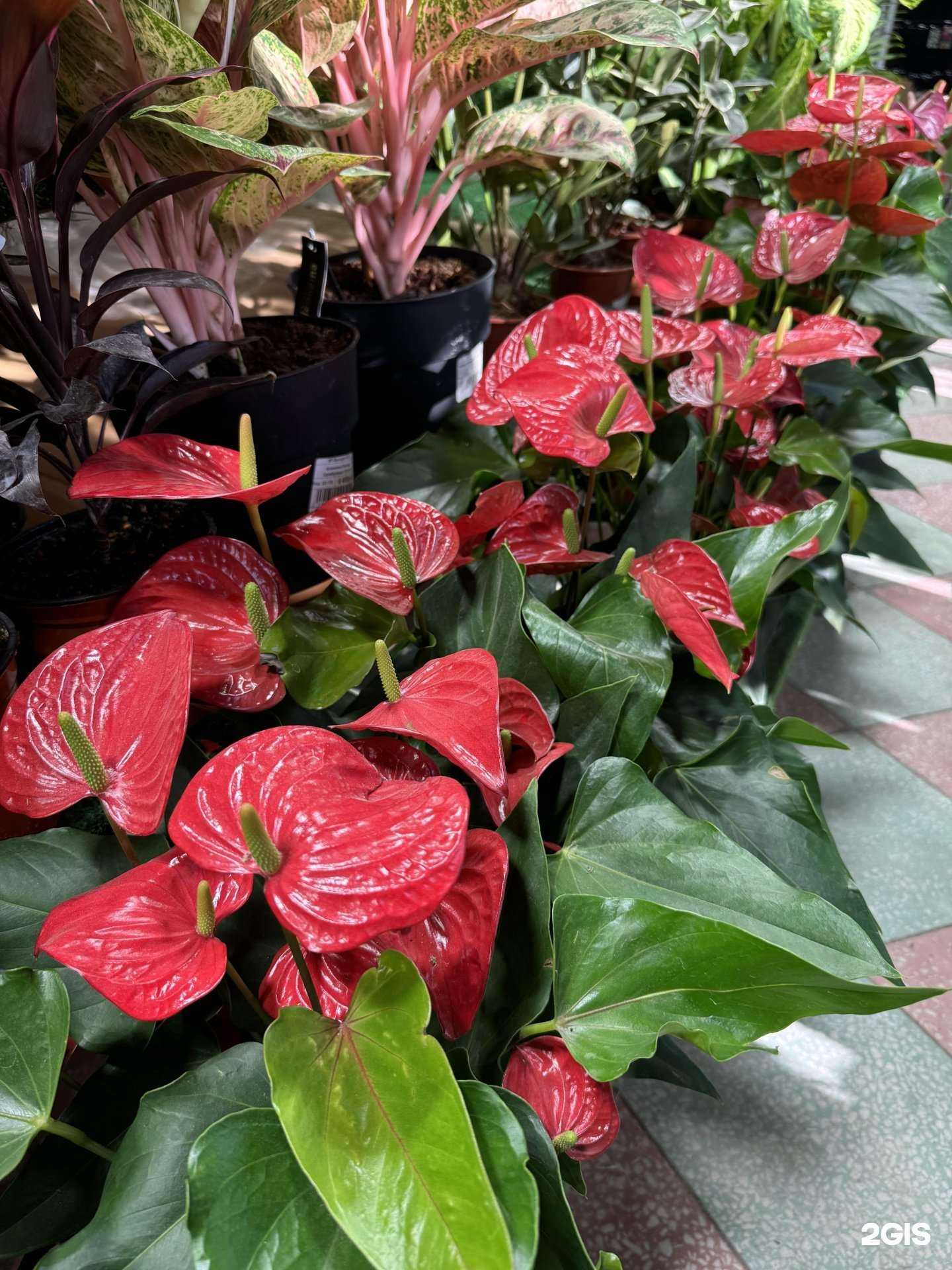 Отзывы на компанию АгроВетЦентр в Махачкале c фото