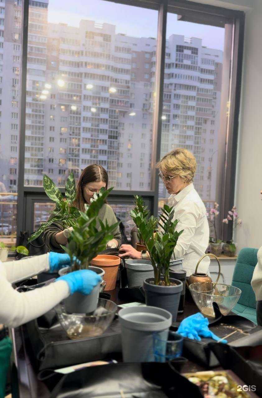 Отзывы на компанию PlantBar в Екатеринбурге c фото